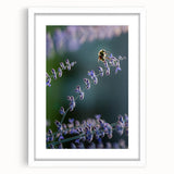 Abstract art print featuring swirling pastel hues on a white framed canvas, ideal for bedroom or dining room decor.