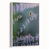 Vintage poster art of spring season on extra large framed canvas.