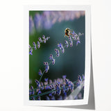 Extra large rolled print of vibrant spring floral art, ideal for art wall dining room or bathroom.