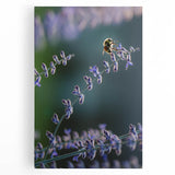 Black and white large art on stretched canvas depicting spring season, ideal for kitchen wall art.