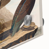 Romanticism Art - West Front of Cassiobury