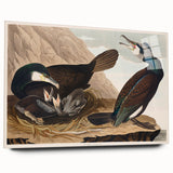 Romanticism Art - West Front of Cassiobury