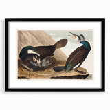 Romanticism Art - West Front of Cassiobury