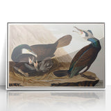 Romanticism Art - West Front of Cassiobury