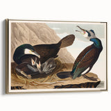 Romanticism Art - West Front of Cassiobury