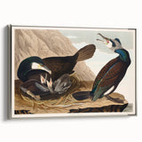 Romanticism Art - West Front of Cassiobury