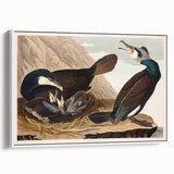 Romanticism Art - West Front of Cassiobury