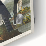 Romanticism Art: Goshawks and Stanley Hawks - Historical Romantic Canvas