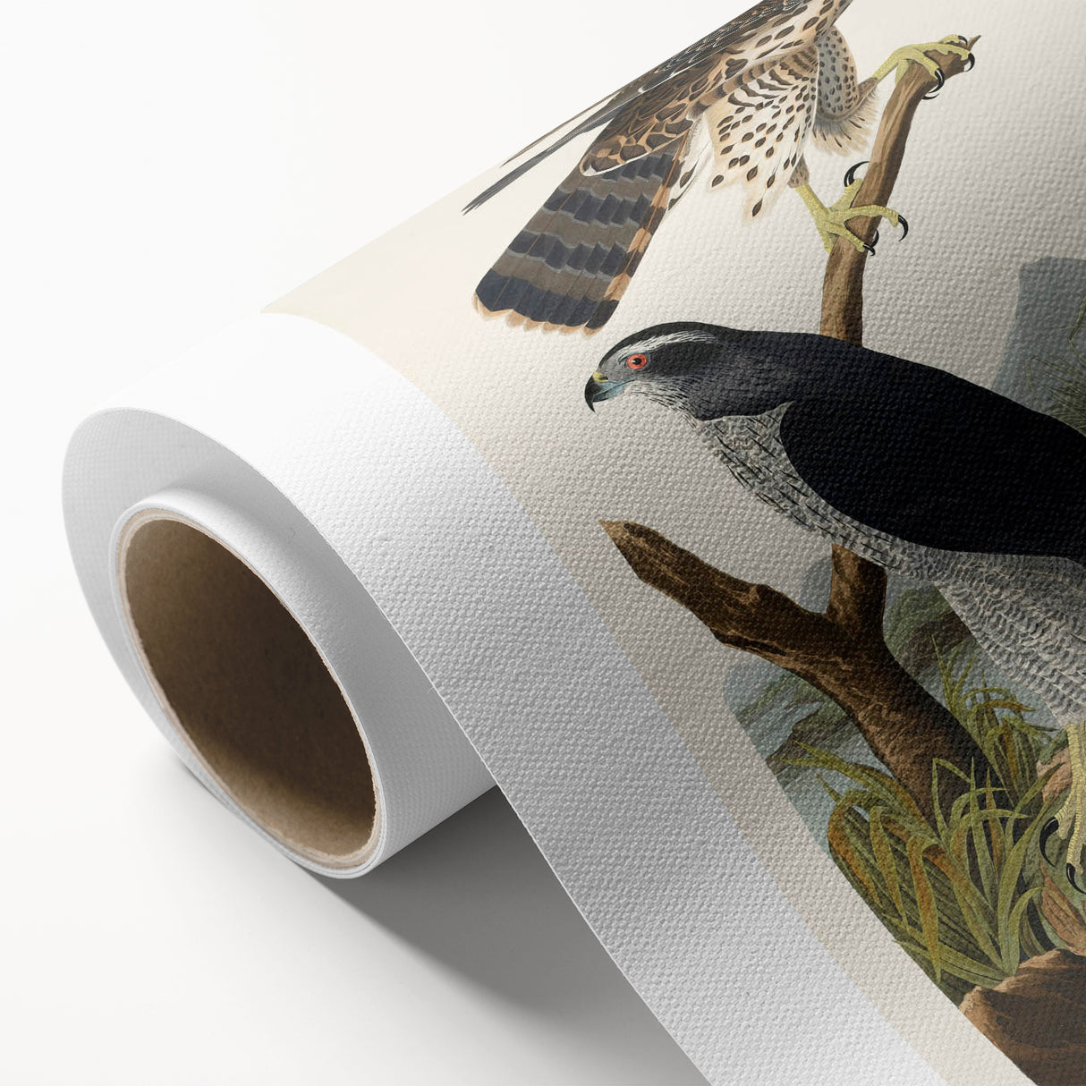 Romanticism Art: Goshawks and Stanley Hawks - Historical Romantic Canvas