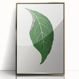 Romanticism Art: Green Adelaster Leaf - Historical Romantic Print