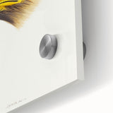 Romanticism Art: Wedge-Tailed Eagle - Famous Romantic Wildlife Print