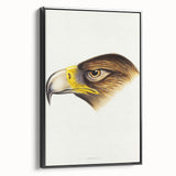 Romanticism Art: Wedge-Tailed Eagle - Famous Romantic Wildlife Print