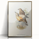 Romanticism Art: Fawn-Breasted Bowerbird - Historical Nature Print