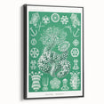 Modern Wall Art - Botanical Thuroidea Print for Unique Nature-Inspired Decor