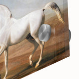The Wellesley Grey Arabian Realism Art Print - Elegant Desert Canvas