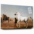 The Wellesley Grey Arabian Realism Art Print - Elegant Desert Canvas