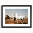 The Wellesley Grey Arabian Realism Art Print - Elegant Desert Canvas