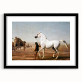 The Wellesley Grey Arabian Realism Art Print - Elegant Desert Canvas