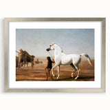 The Wellesley Grey Arabian Realism Art Print - Elegant Desert Canvas