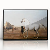 The Wellesley Grey Arabian Realism Art Print - Elegant Desert Canvas
