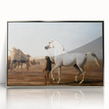 The Wellesley Grey Arabian Realism Art Print - Elegant Desert Canvas