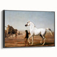 The Wellesley Grey Arabian Realism Art Print - Elegant Desert Canvas