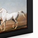 The Wellesley Grey Arabian Realism Art Print - Elegant Desert Canvas