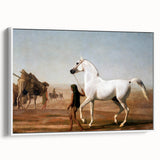 The Wellesley Grey Arabian Realism Art Print - Elegant Desert Canvas