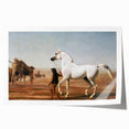 The Wellesley Grey Arabian Realism Art Print - Elegant Desert Canvas