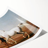 The Wellesley Grey Arabian Realism Art Print - Elegant Desert Canvas