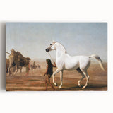 The Wellesley Grey Arabian Realism Art Print - Elegant Desert Canvas