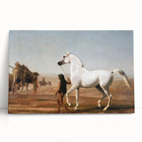 The Wellesley Grey Arabian Realism Art Print - Elegant Desert Canvas