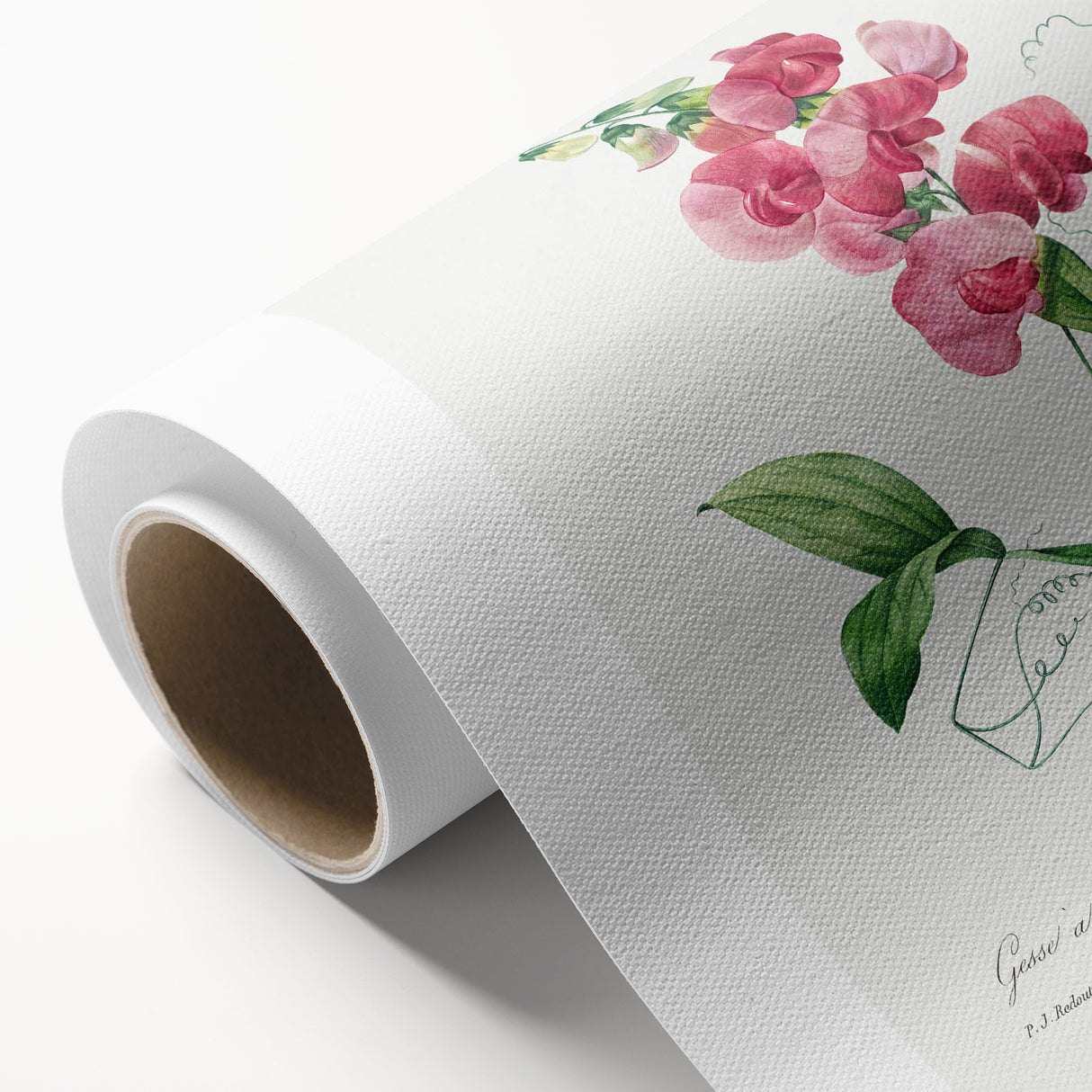 Neoclassical Art Print: Everlasting Pea by Redouté - Classic Floral Decor