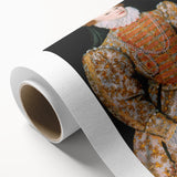 Renaissance Art Prints: The Darnley Portrait of Elizabeth I of England