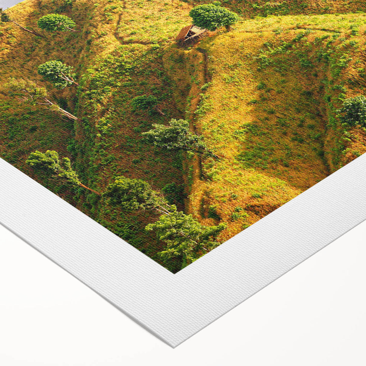 Art deco poster featuring a serene Bangladesh landscape in muted green and blue tones, printed on rolled canvas.