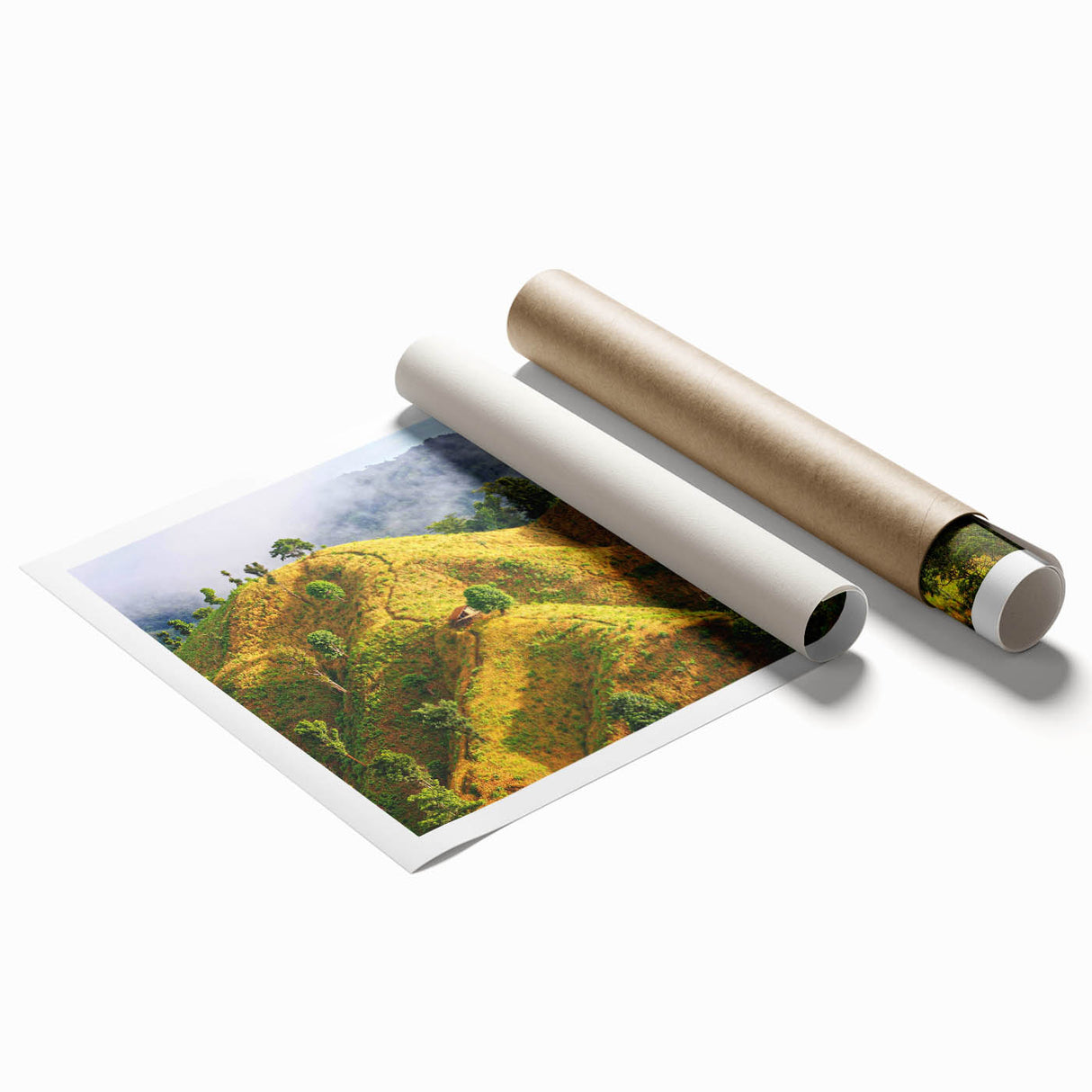 Extra large rolled print of a serene Bangladesh landscape with lush greenery and vibrant floral elements.