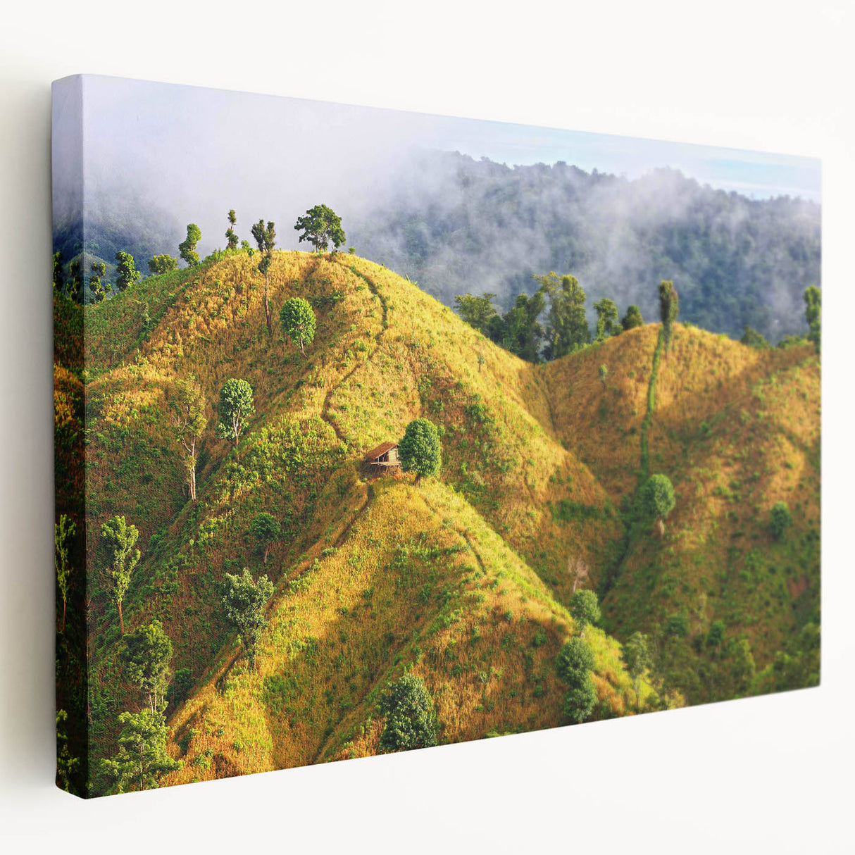 Large canvas print depicting a serene Bangladesh landscape in muted green and blue tones, suitable for kitchen wall art.