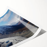 Extra large rolled print featuring line art flowers in muted colors, ideal for large living room wall art.