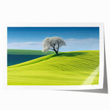 Rolled print of a Czech Republic scenery with floral elements in soft hues, suitable for art wall dining room.