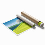 Extra large rolled print depicting a floral scenery in Czech Republic, in muted green and pink tones.