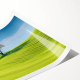 Extra large rolled print featuring line art flowers in muted tones, ideal for large living room wall decor.