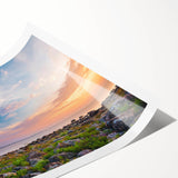 Extra large wall art featuring line art flowers in black on a white background, ideal for large living room decor.