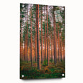 Acrylic glass print of a serene Finnish landscape in muted blues and greens, ideal for dining room decor.