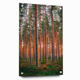 Acrylic glass print of a serene Finnish landscape in muted blues and greens, ideal for dining room decor.