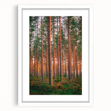 Textured art print of an abstract European scenery in muted earth tones, framed with a white mat, ideal for bedroom decor.