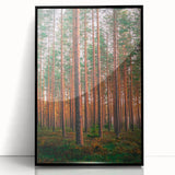 Large abstract wall art depicting a serene Finnish landscape in muted earth tones on a framed acrylic.