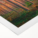 Art deco poster featuring a serene Finnish landscape in muted greens and blues on rolled canvas.