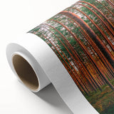 Art Deco poster of a serene Finnish landscape in soft pastel colors on rolled canvas, ideal for nursery wall art.