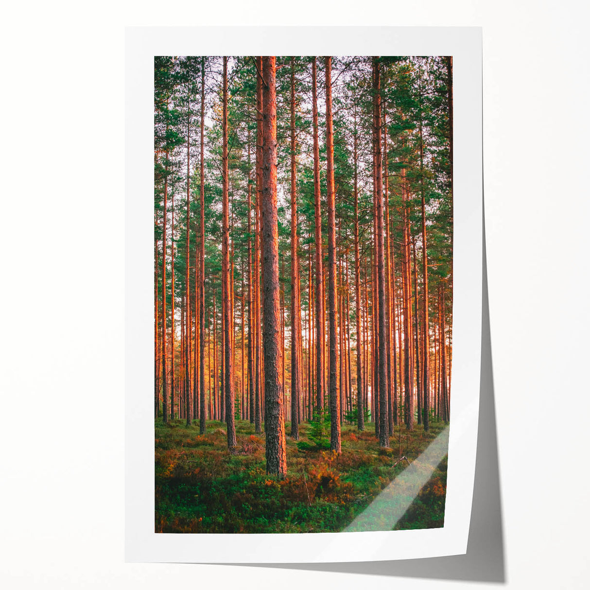 Rolled print of a serene Finnish landscape with vibrant green and blue tones, ideal for dining room wall art.