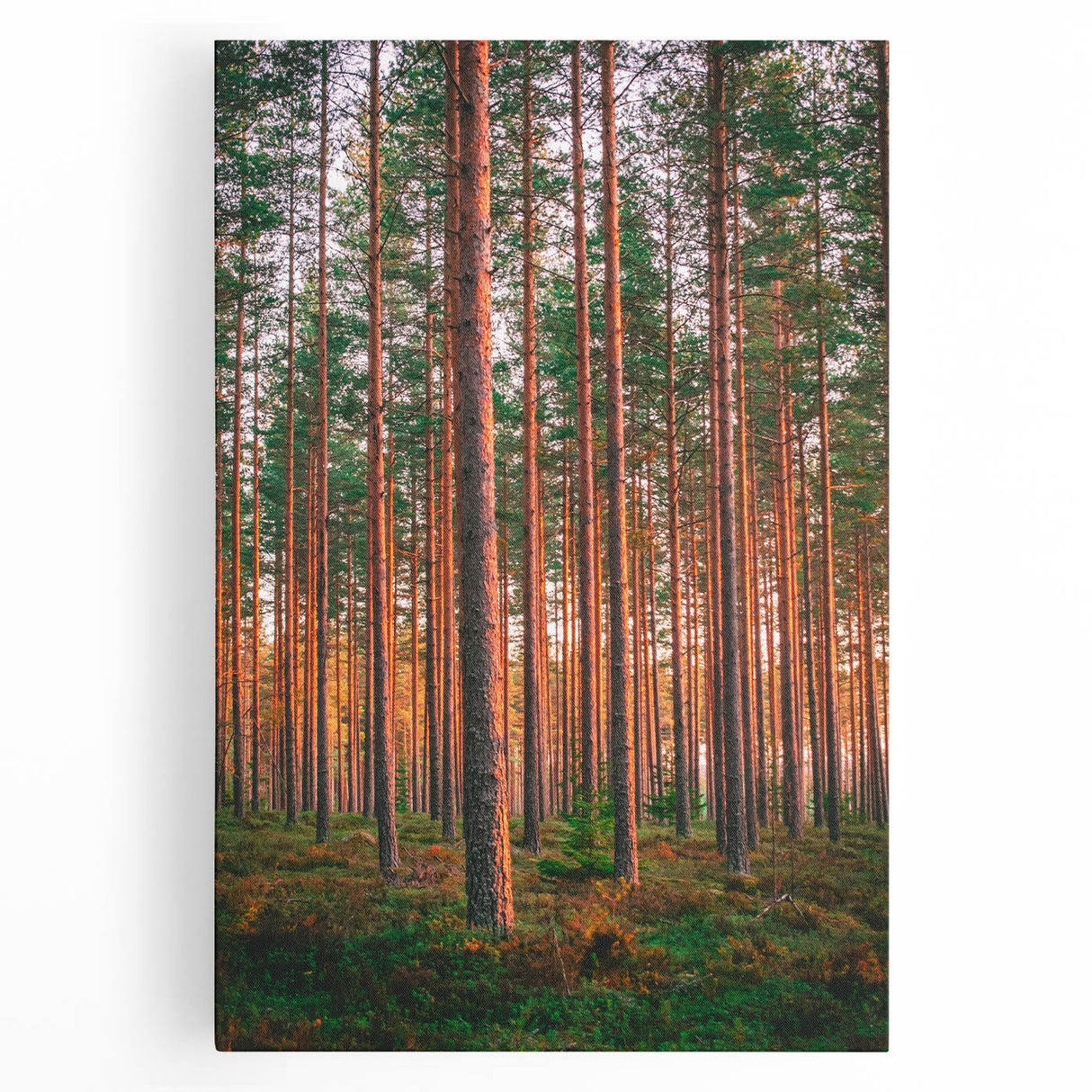 Black and white photograph of a serene Finnish landscape on stretched canvas, ideal for kitchen wall art or bedroom ambiance.